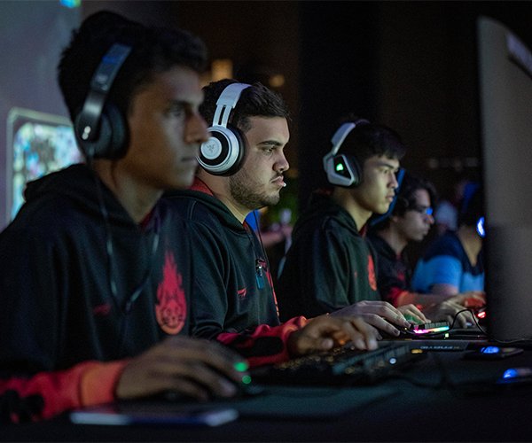 Experiencia, Innovación Y Calidad